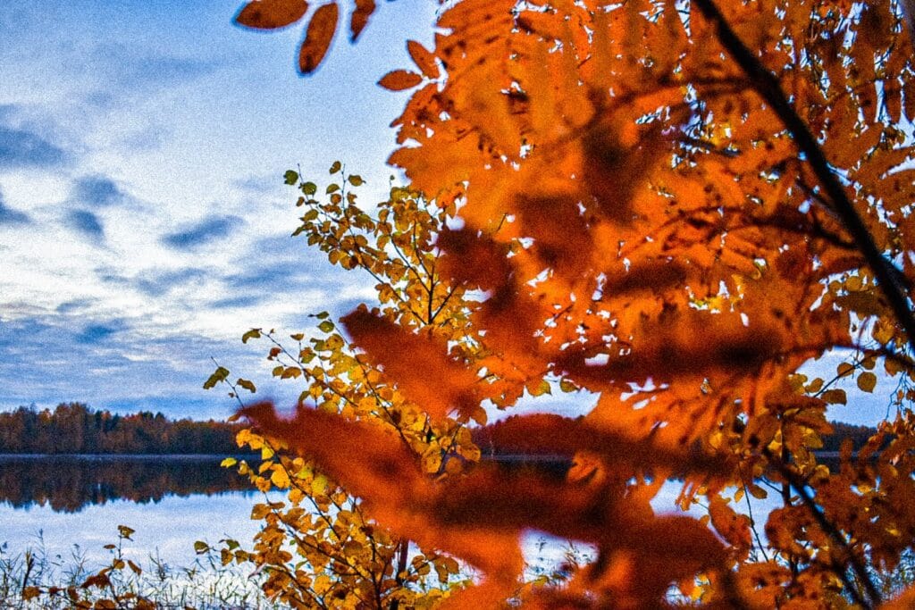 perhepartio alkaa! - Lue lisää